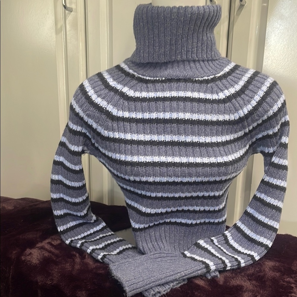 American Eagle Light Blue Dark Blue Striped Turtleneck SweaterSz Small